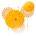 shape